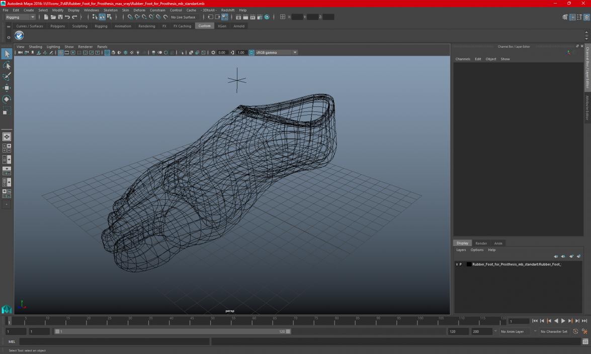 3D Rubber Foot for Prosthesis