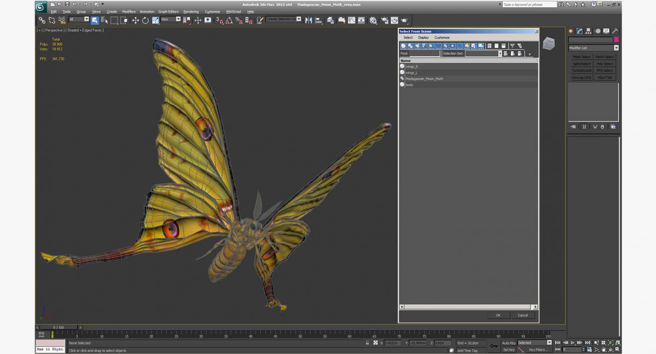 3D model Madagascan Moon Moth