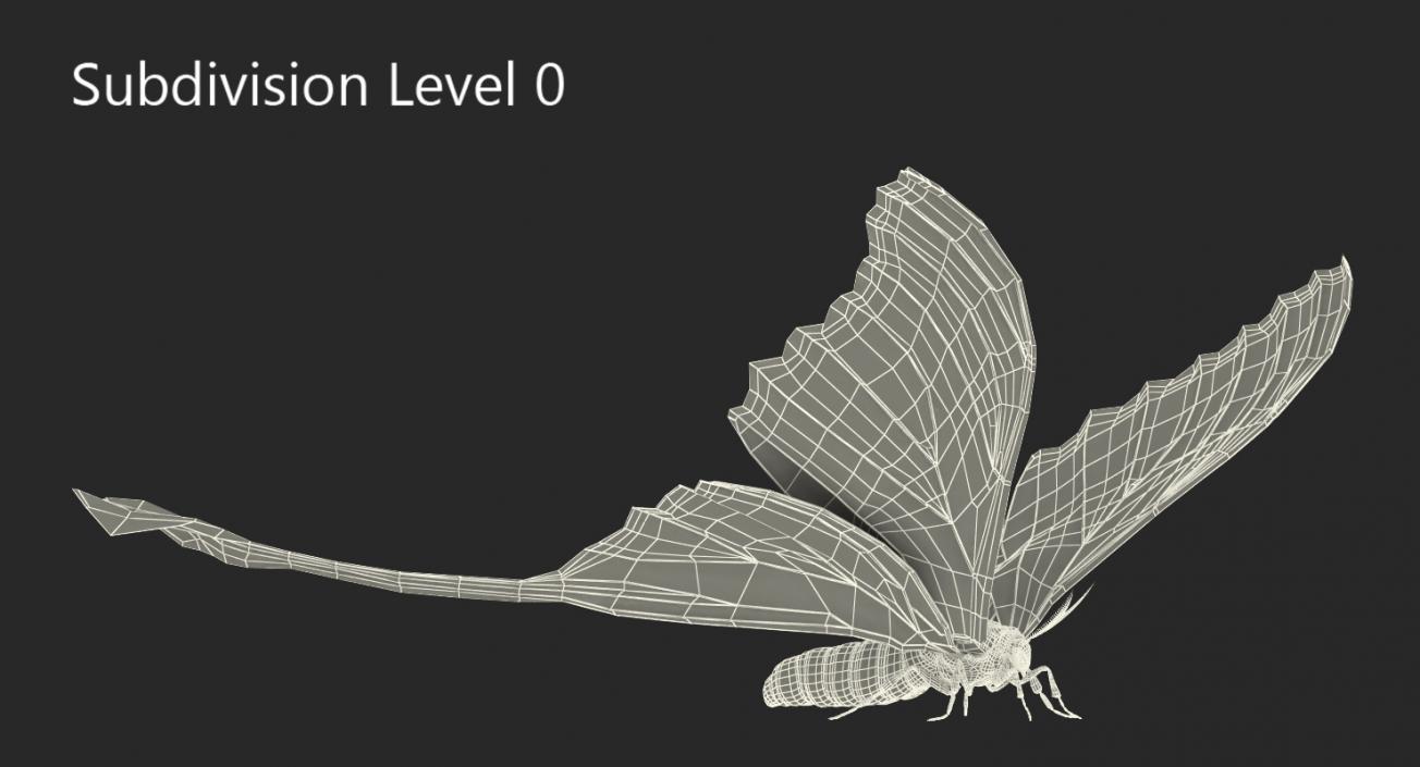 3D model Madagascan Moon Moth