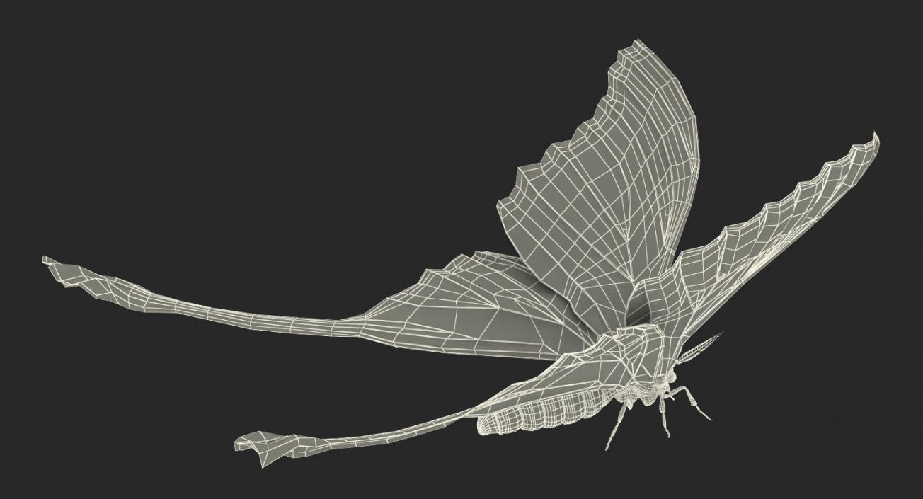 3D model Madagascan Moon Moth