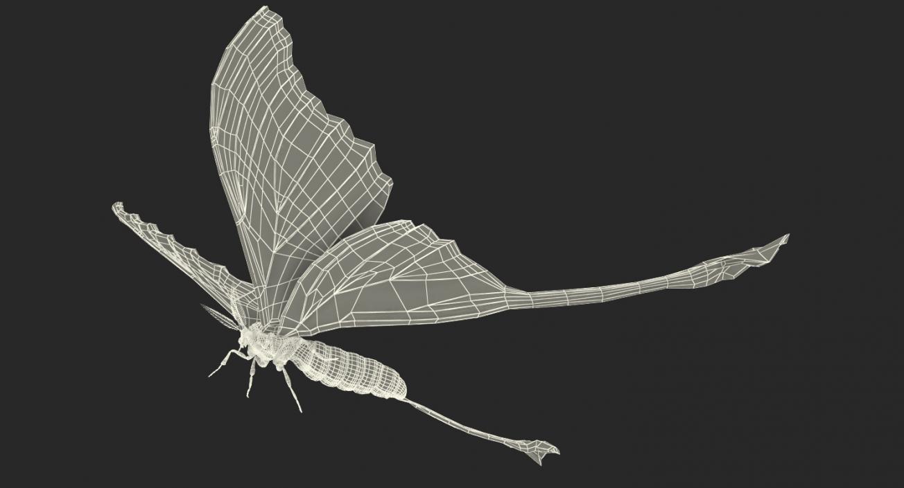 3D model Madagascan Moon Moth