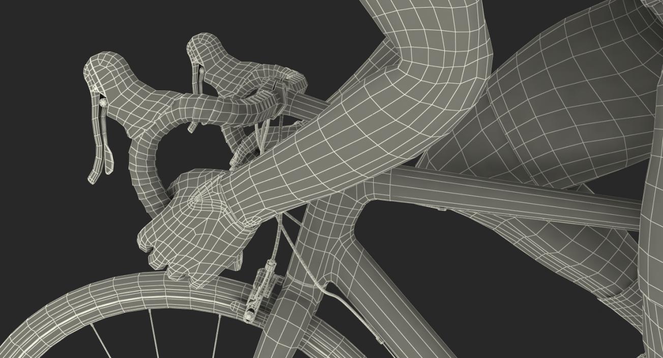 Bicyclist on Road Bike 3D