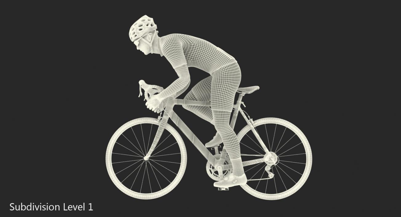 Bicyclist on Road Bike 3D