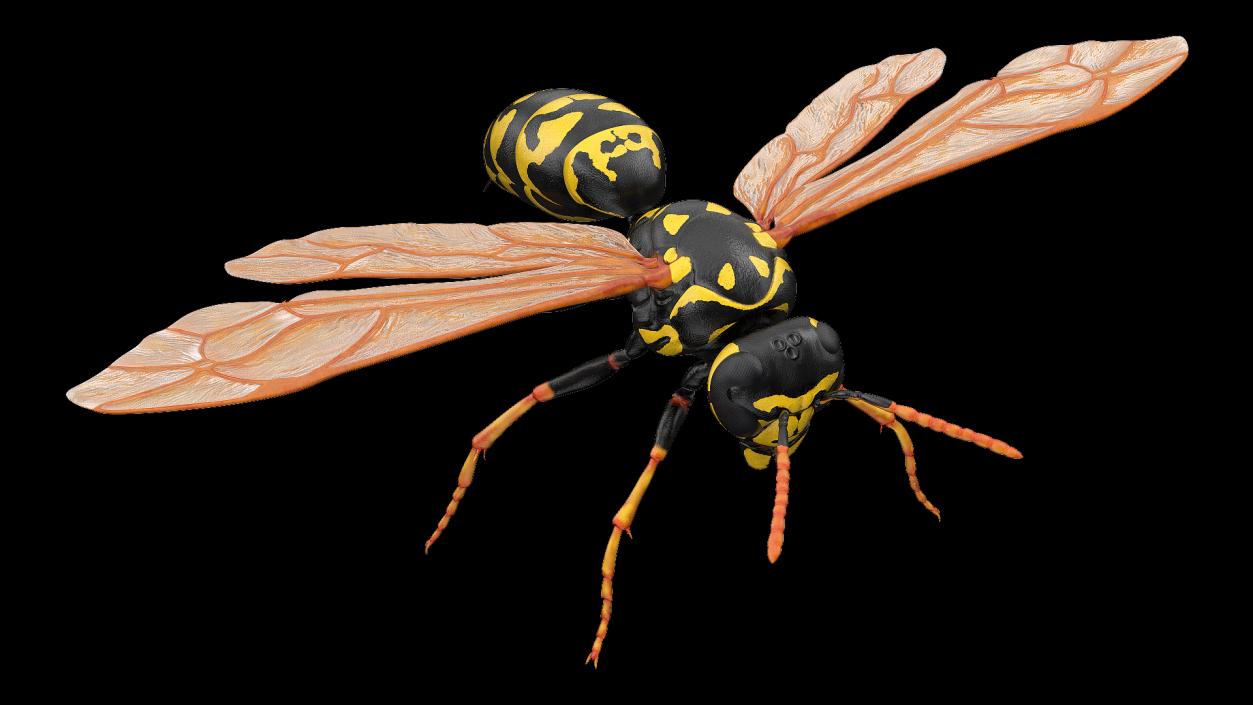 3D model Paper Wasp