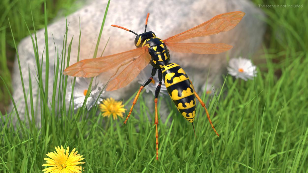 3D model Paper Wasp