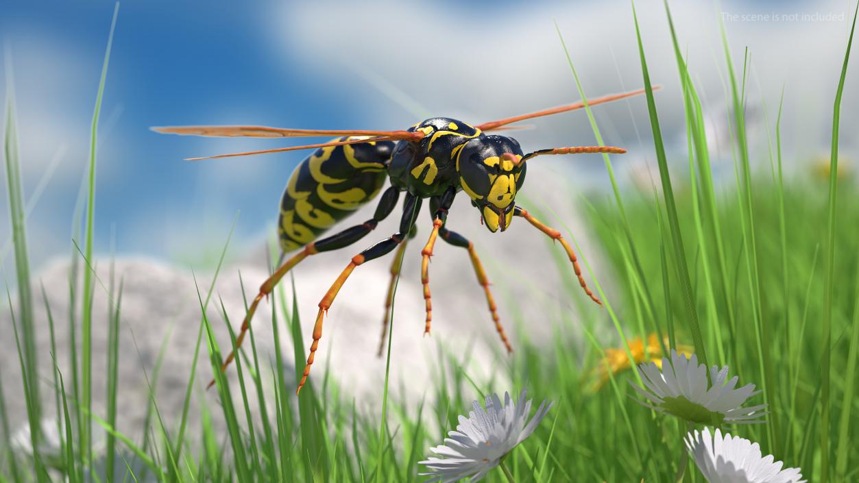 3D model Paper Wasp