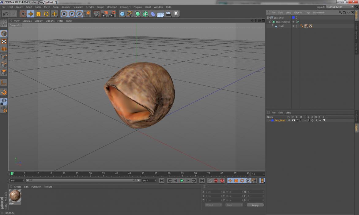 Sea Shell 3D model