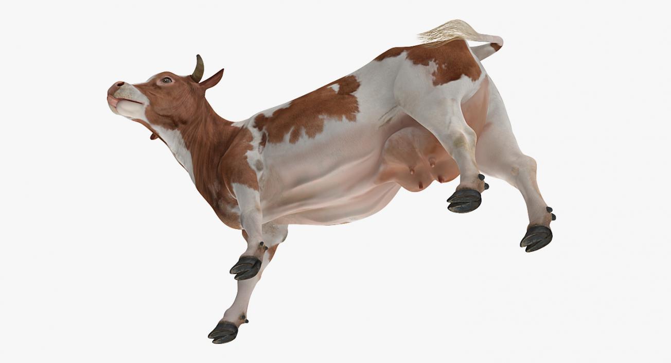 Bull and Cows 3D Models Collection 3D model