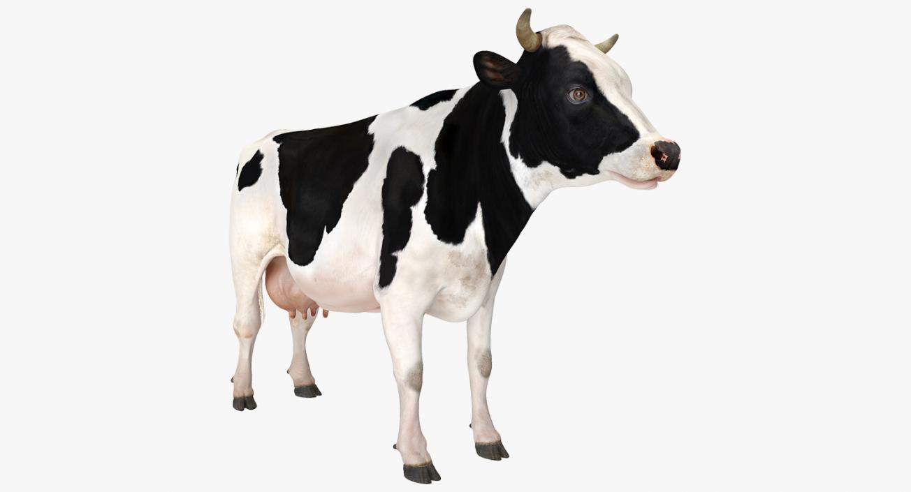 Bull and Cows 3D Models Collection 3D model