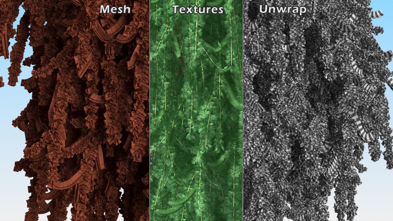 3D Larix Kaempferi Stiff Weeper model