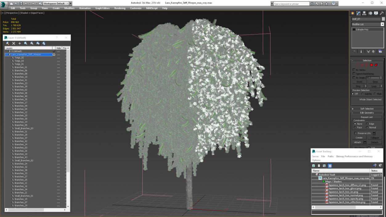 3D Larix Kaempferi Stiff Weeper model