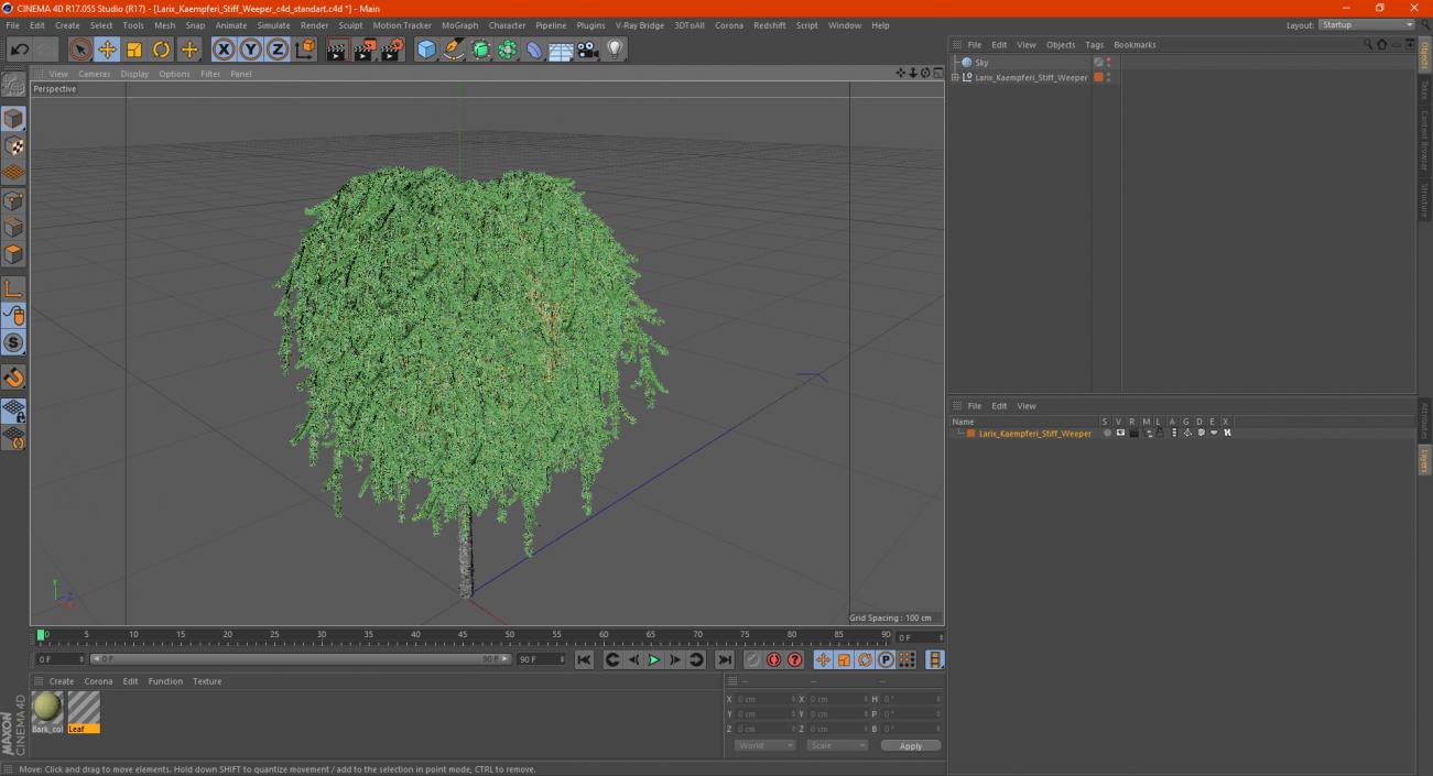 3D Larix Kaempferi Stiff Weeper model