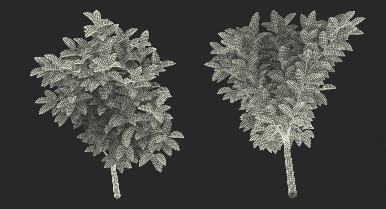 3D model Small Tree