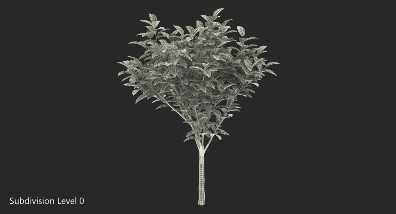 3D model Small Tree