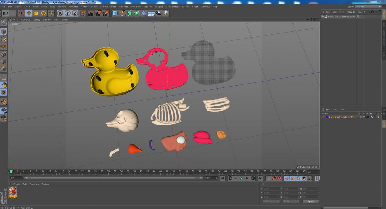 3D Bath Duck Anatomy Parts model