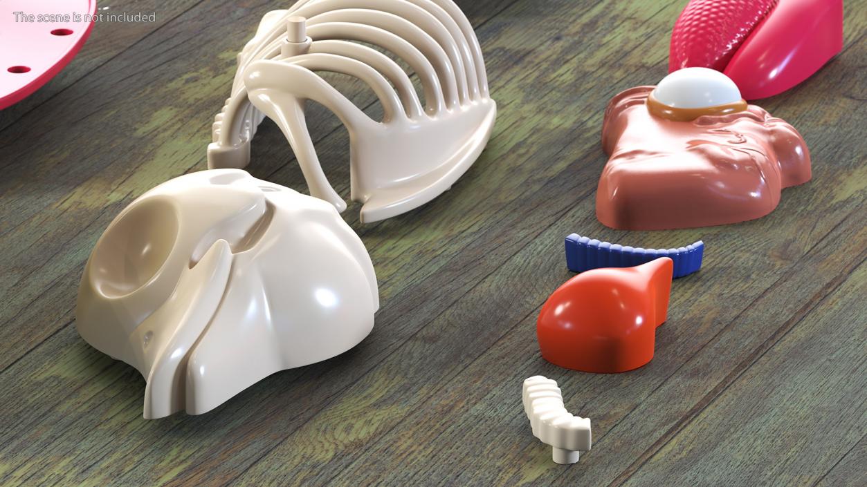 3D Bath Duck Anatomy Parts model