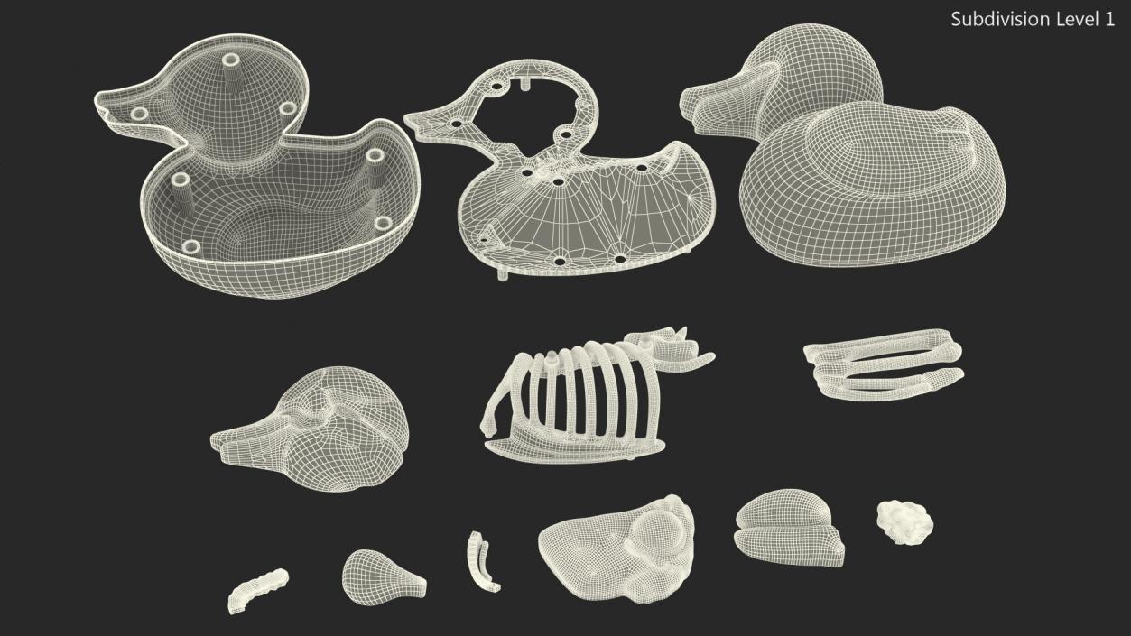 3D Bath Duck Anatomy Parts model