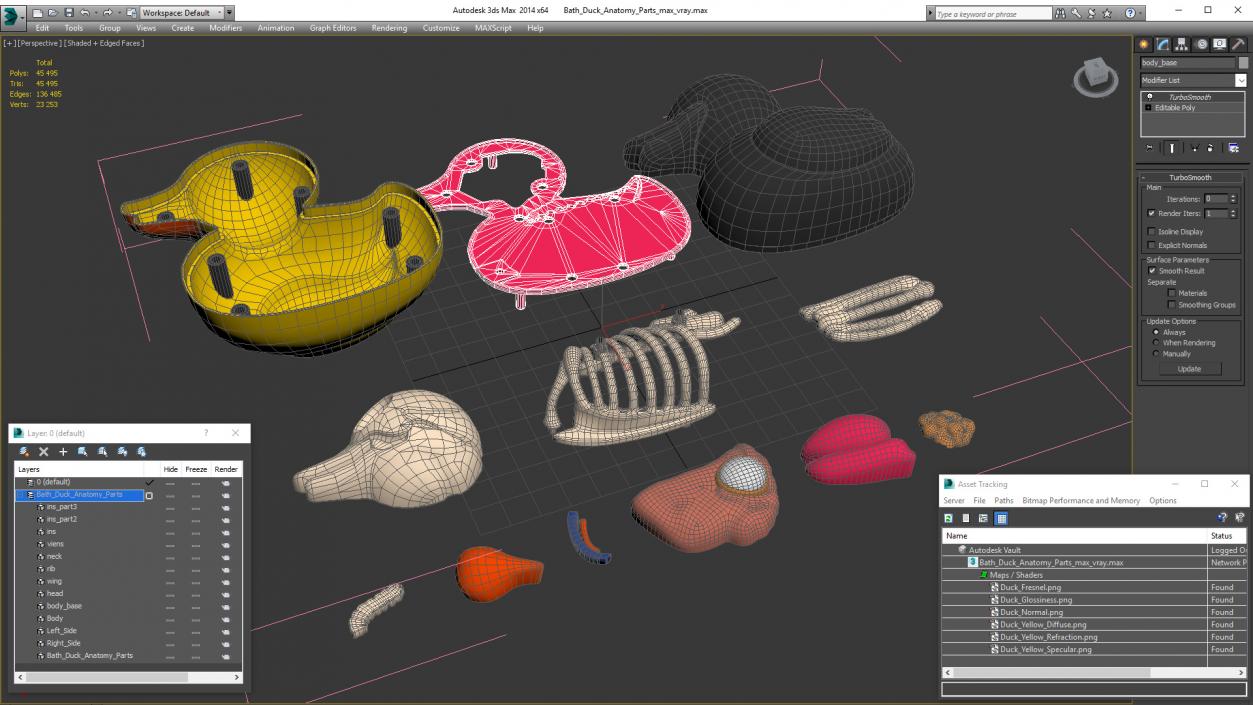 3D Bath Duck Anatomy Parts model