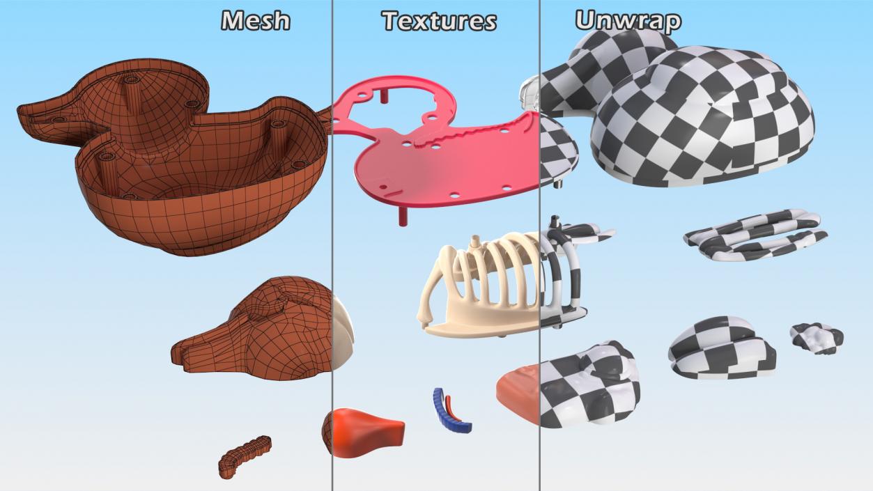 3D Bath Duck Anatomy Parts model