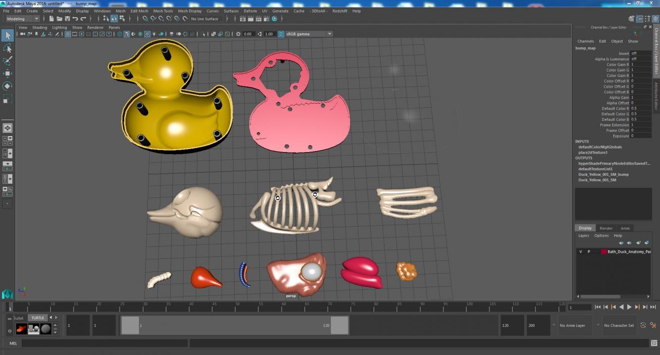 3D Bath Duck Anatomy Parts model