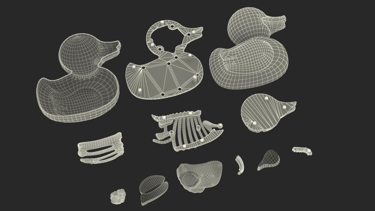 3D Bath Duck Anatomy Parts model