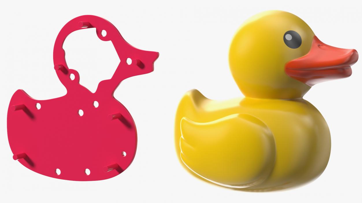 3D Bath Duck Anatomy Parts model