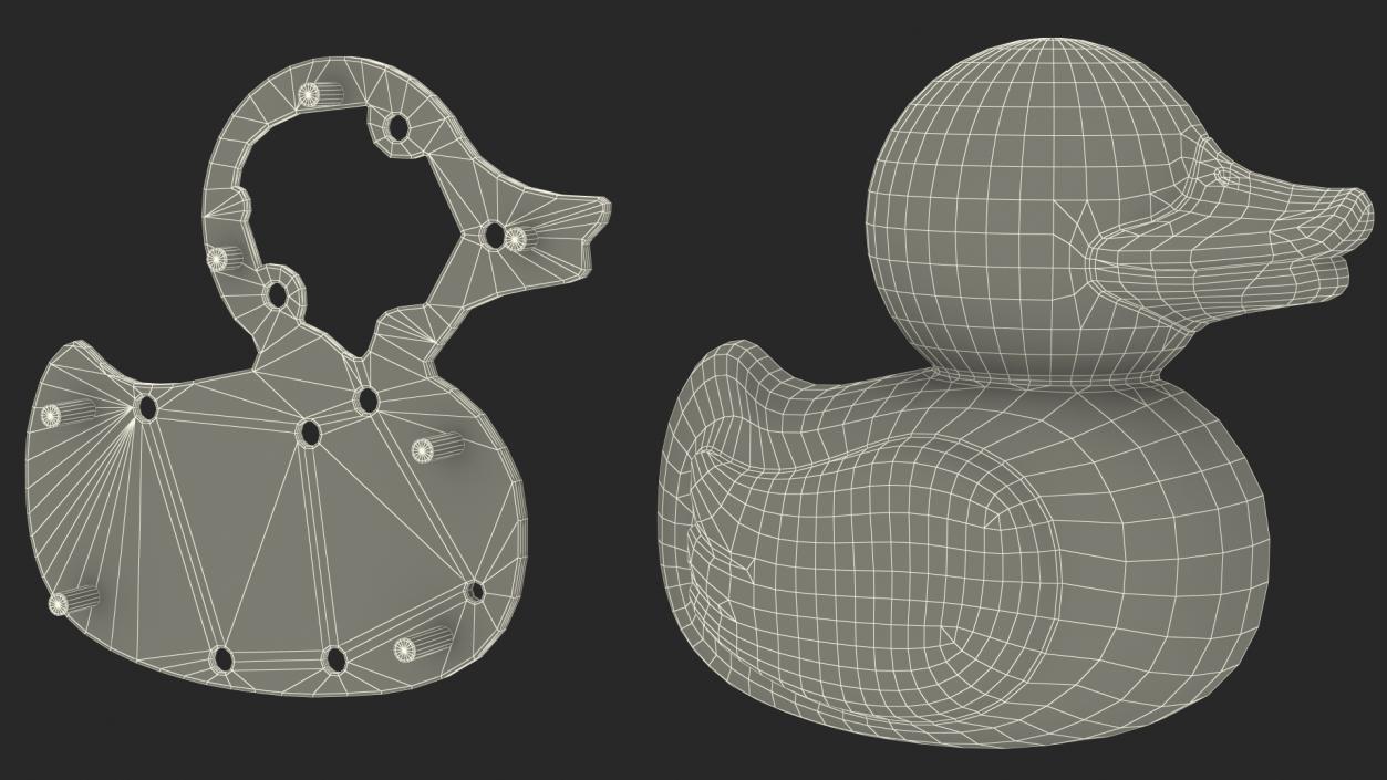 3D Bath Duck Anatomy Parts model