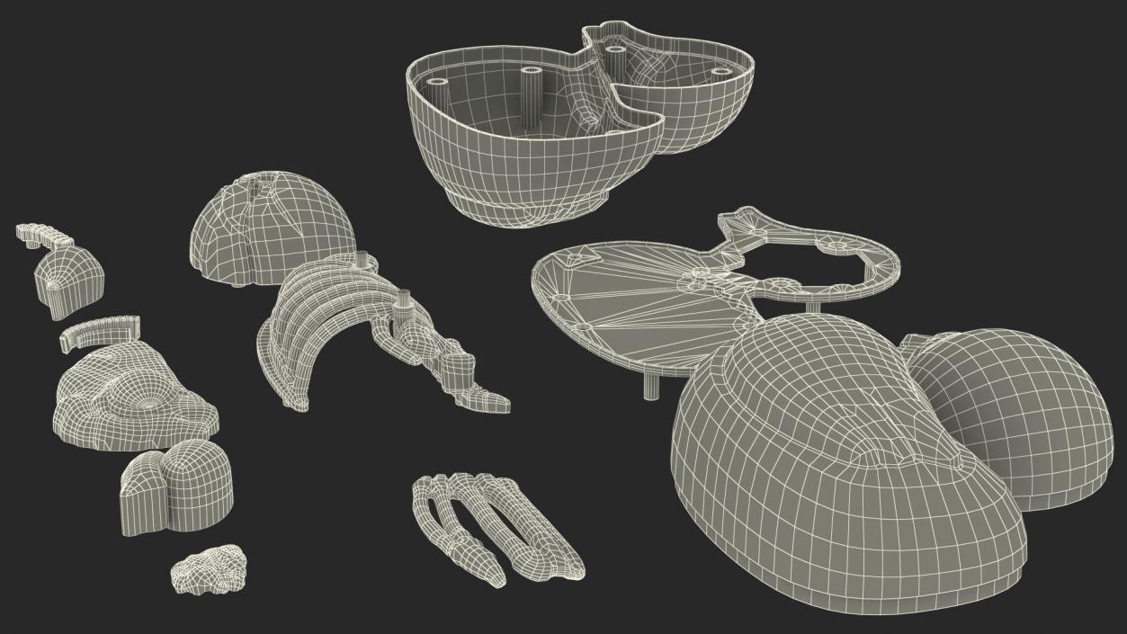 3D Bath Duck Anatomy Parts model