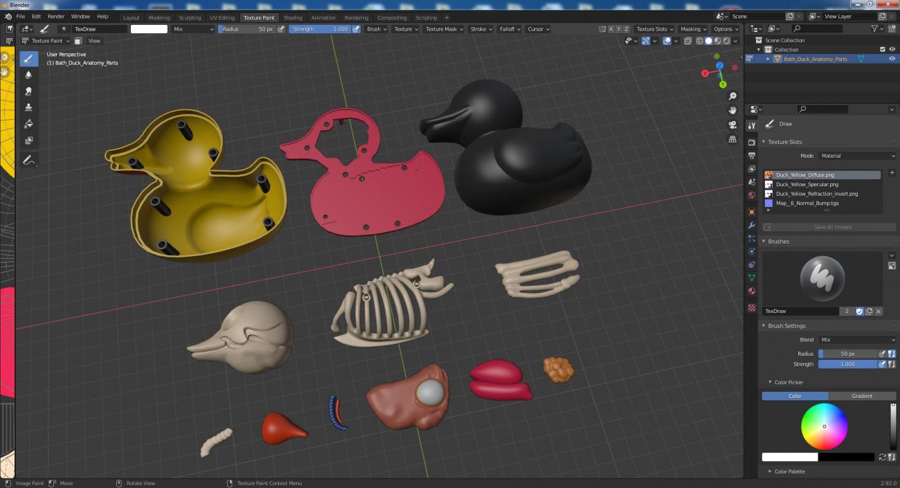 3D Bath Duck Anatomy Parts model