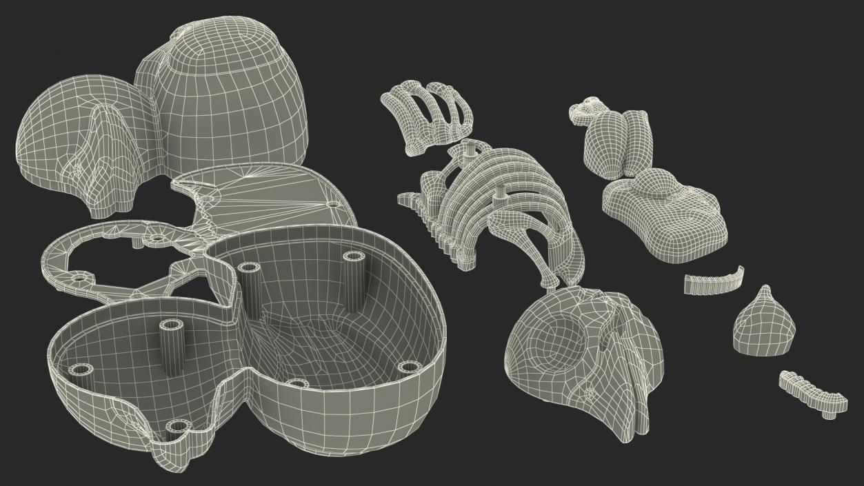 3D Bath Duck Anatomy Parts model