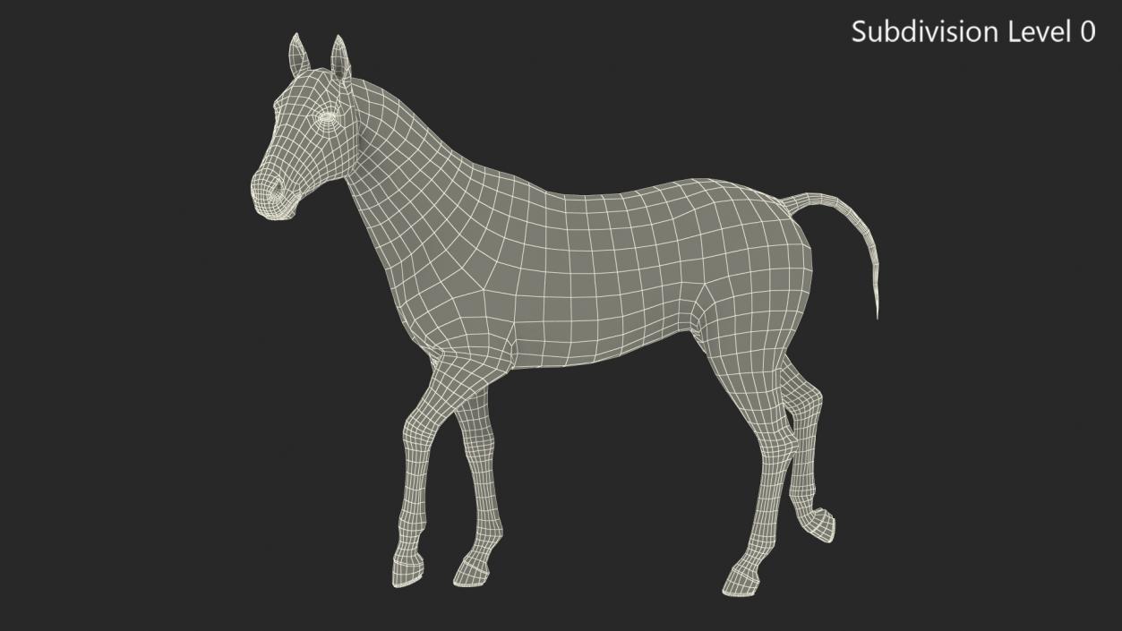 3D Bay Horse Rigged