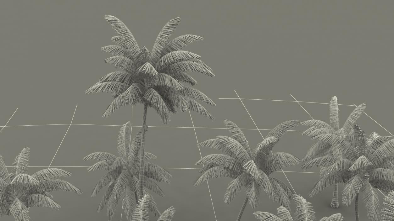 3D Tropical Island with Palm Trees