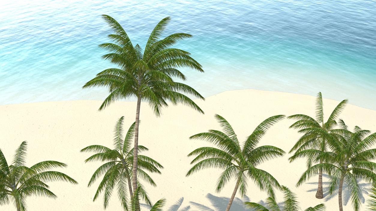 3D Tropical Island with Palm Trees