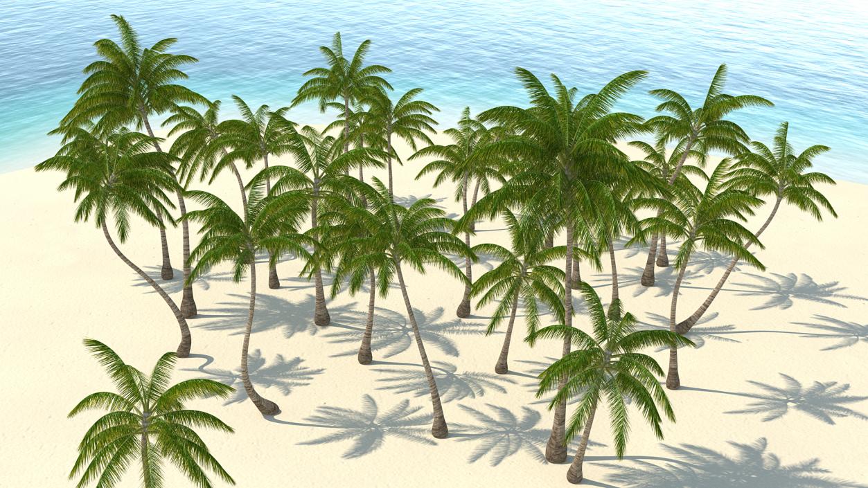 3D Tropical Island with Palm Trees