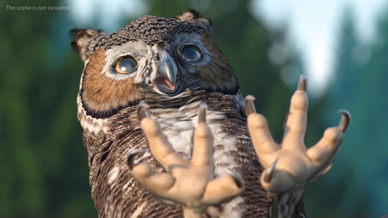 3D Great Horned Owl Rigged model