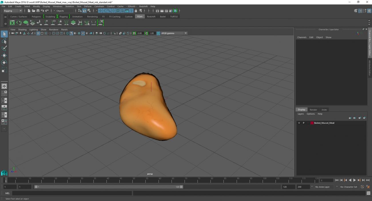 3D Boiled Mussel Meat model