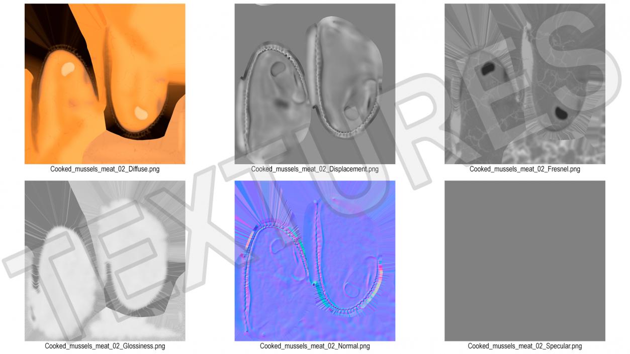 3D Boiled Mussel Meat model