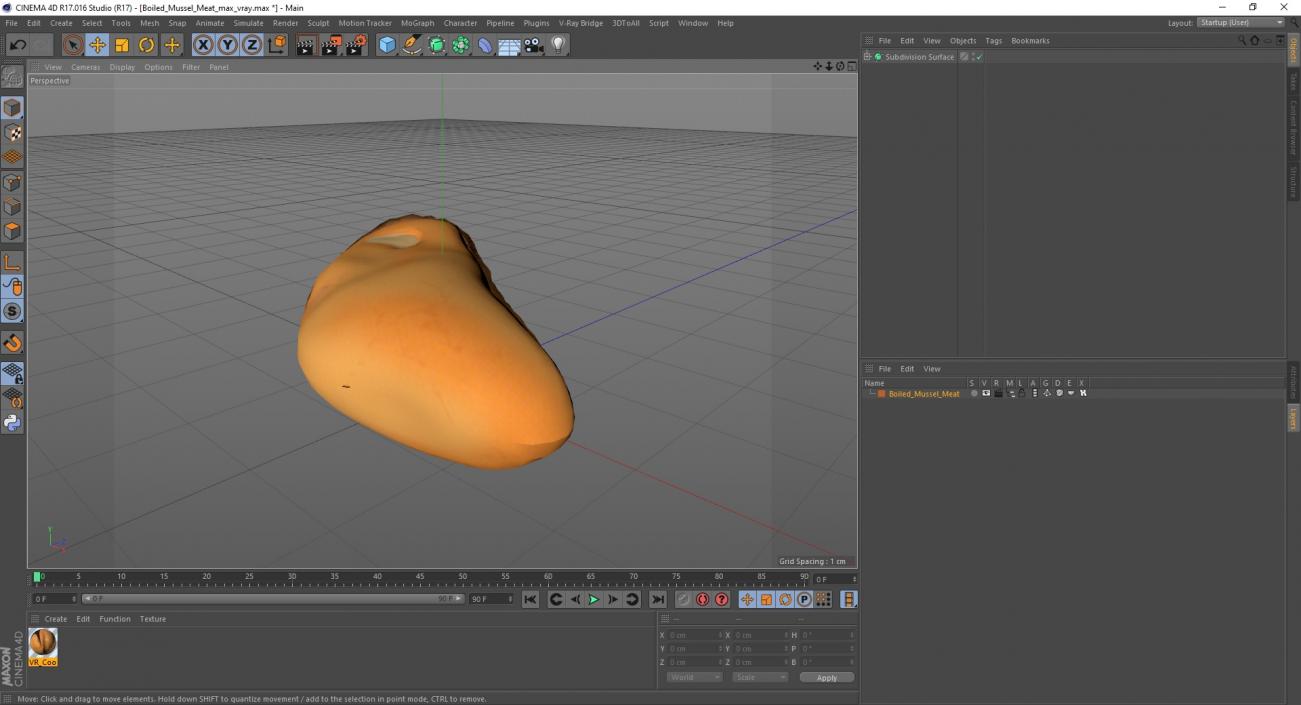 3D Boiled Mussel Meat model