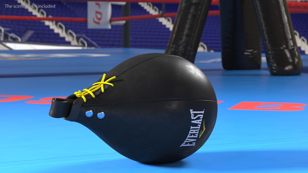 Everlast Competition Tools Collection 2 3D model