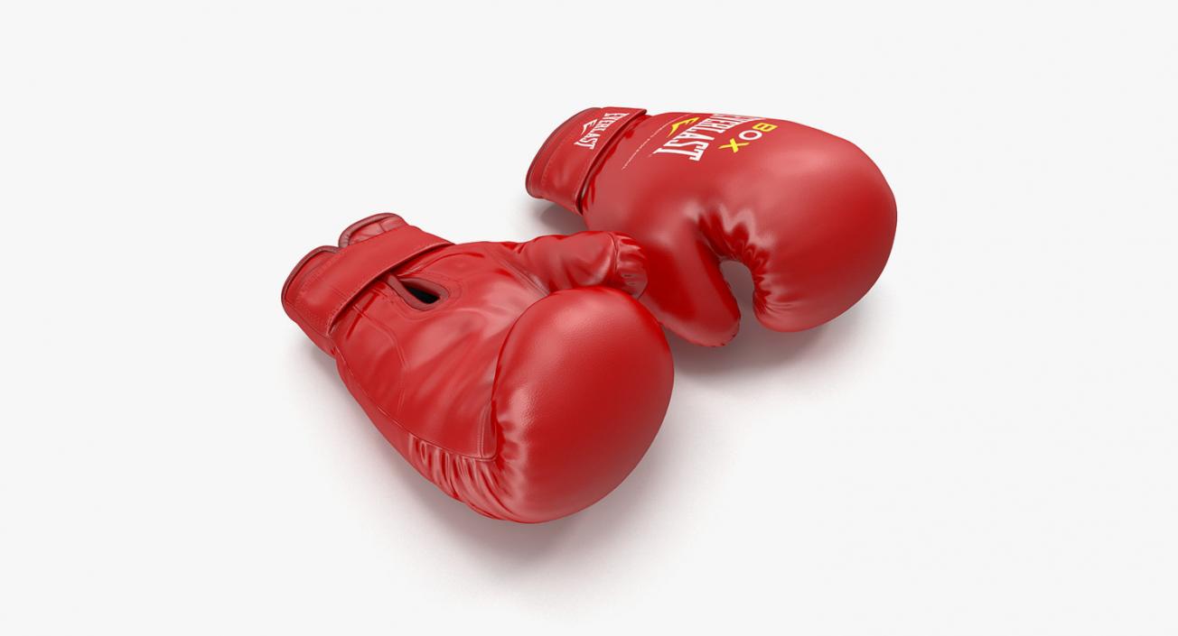 Everlast Competition Tools Collection 2 3D model