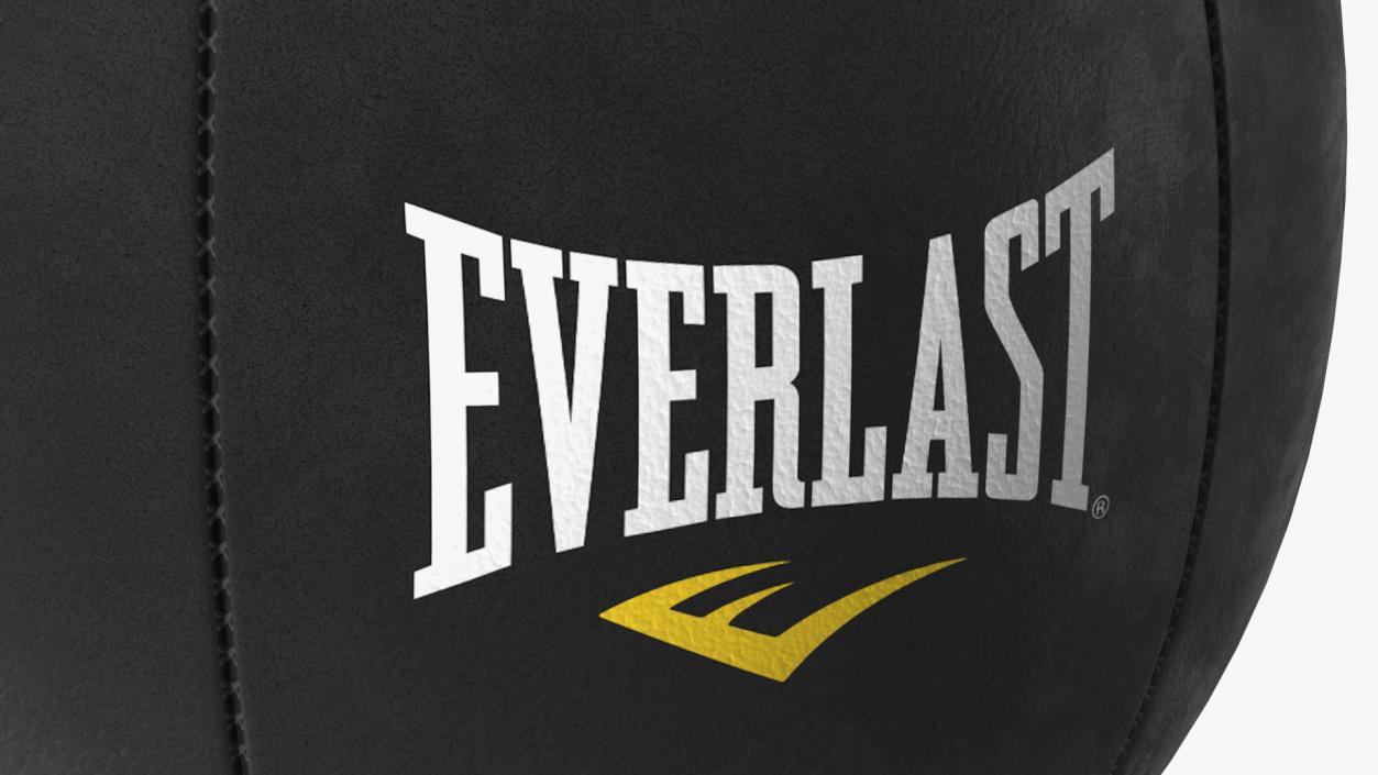 Everlast Competition Tools Collection 2 3D model