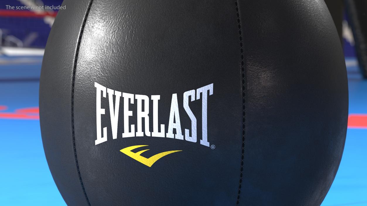 Everlast Competition Tools Collection 2 3D model