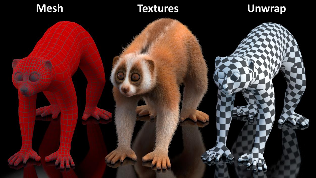 3D model Lemur Slow Loris Fur