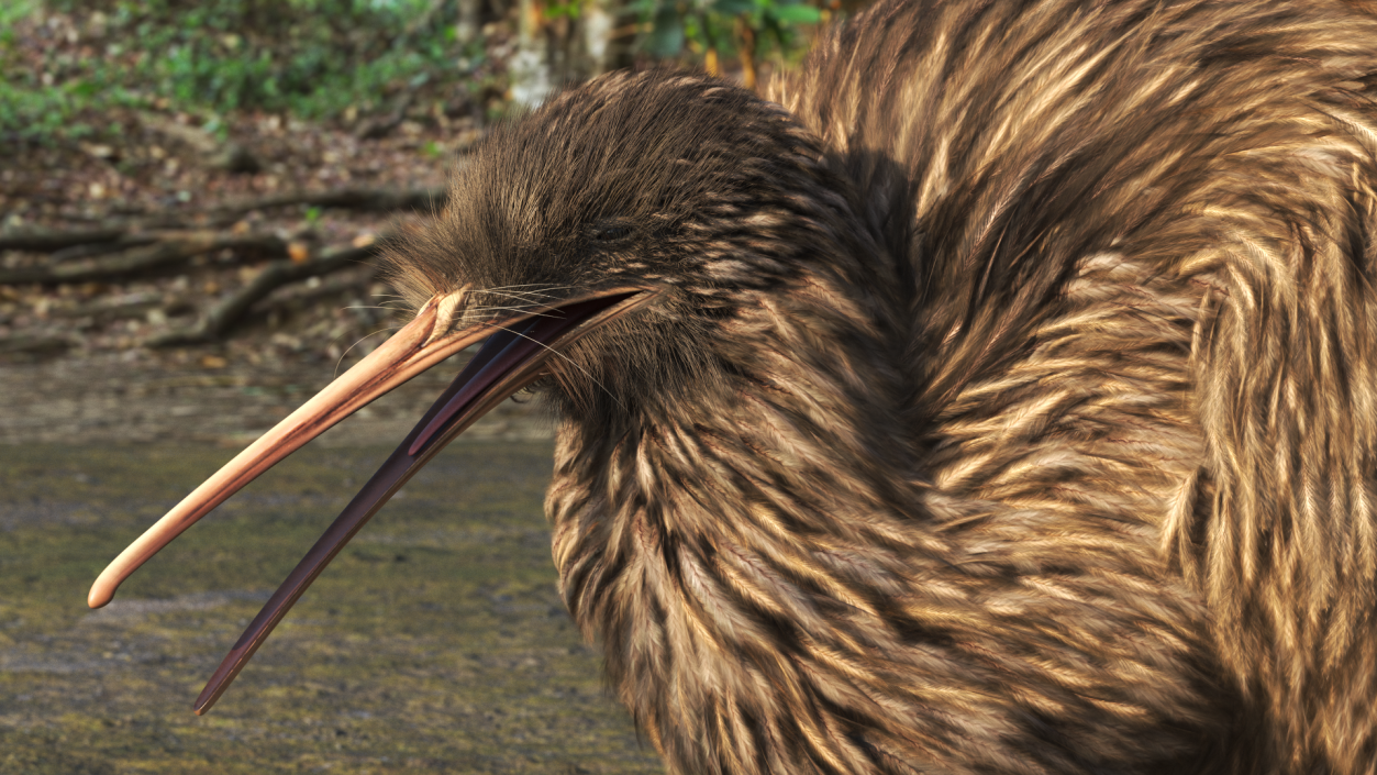 3D Kiwi Bird Walk Pose Fur model