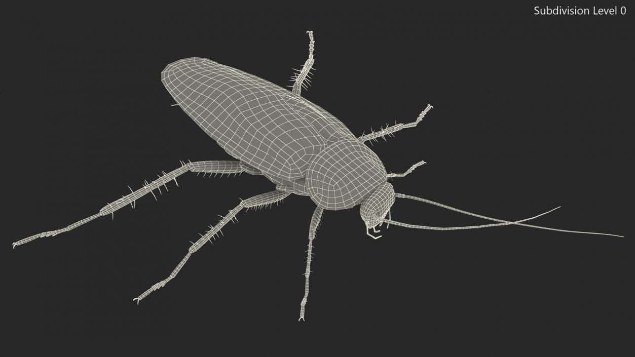 3D model Flying Red Cockroach