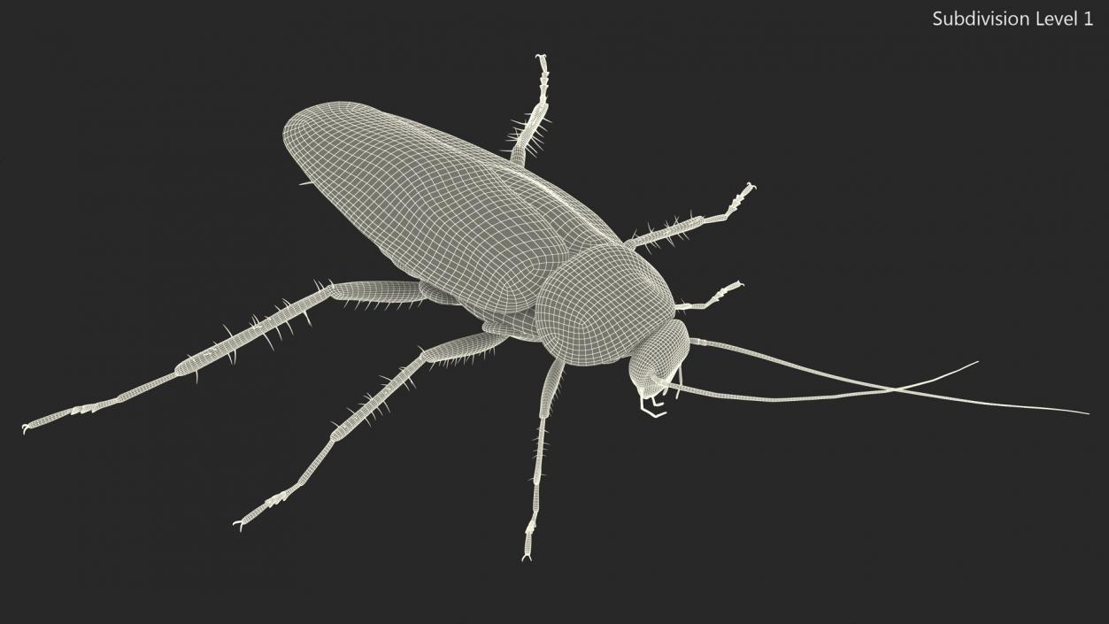 3D model Flying Red Cockroach