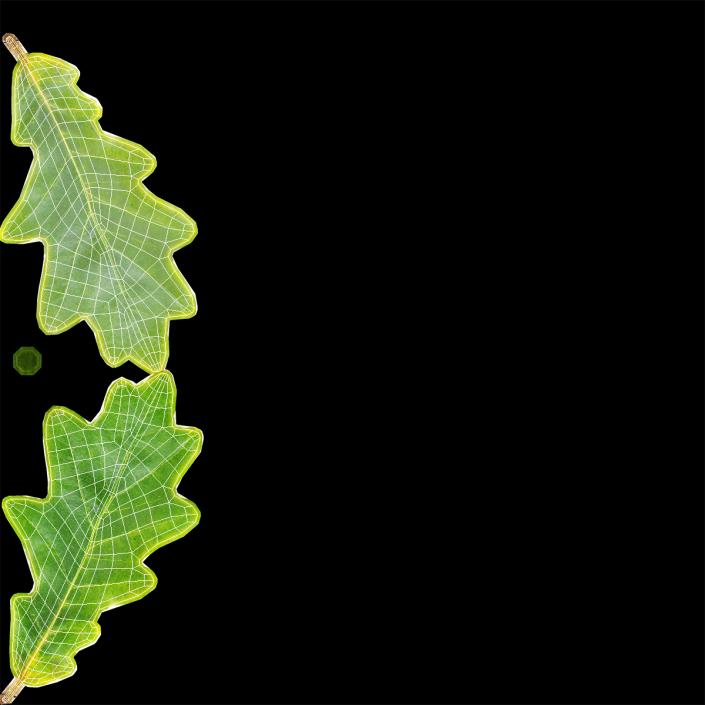 3D model Oak Leaf