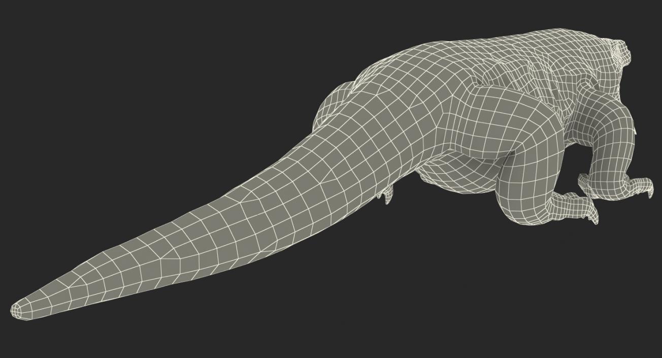 3D Komodo Dragon Neutral Pose