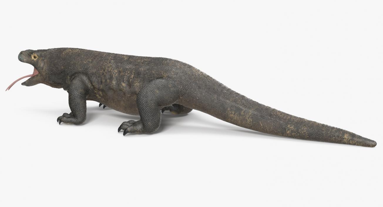 3D Komodo Dragon Neutral Pose