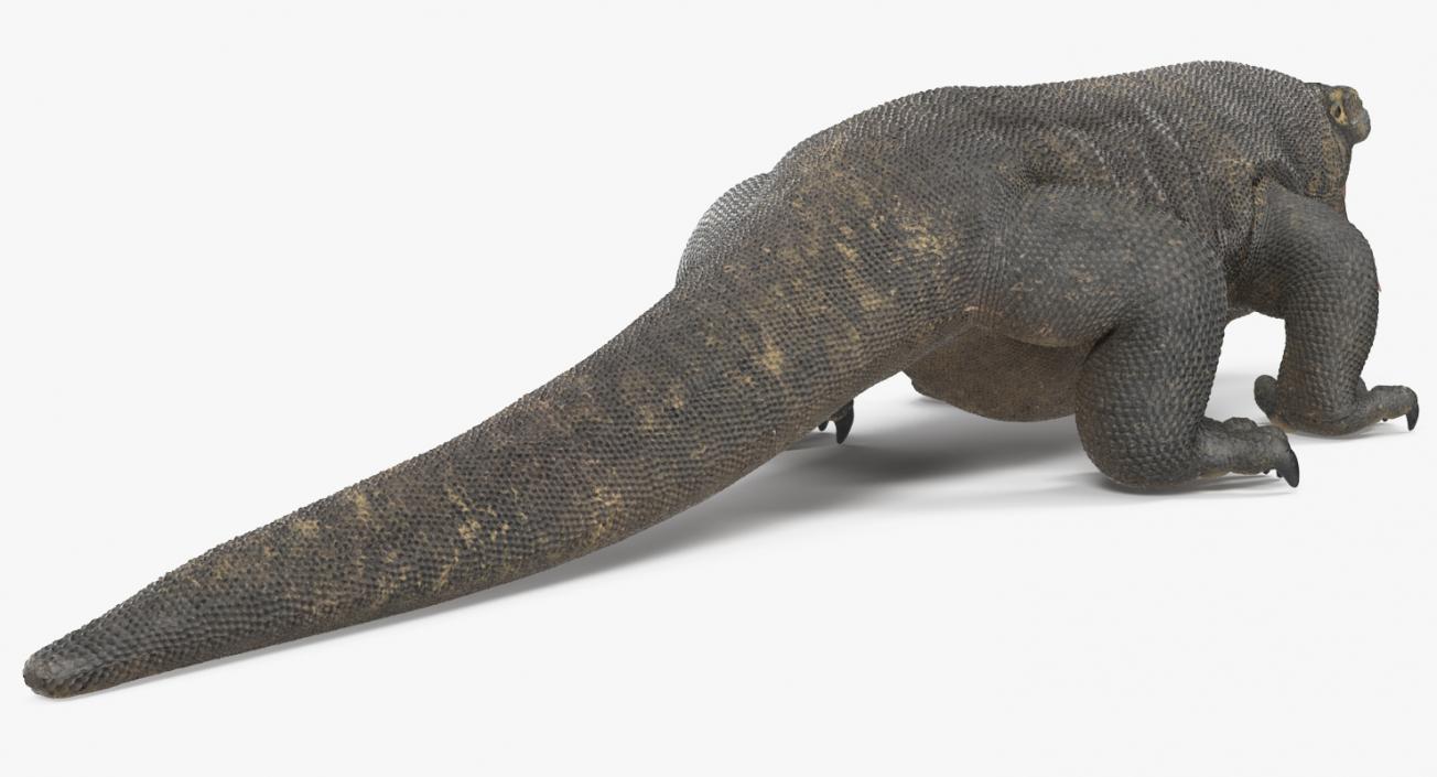 3D Komodo Dragon Neutral Pose